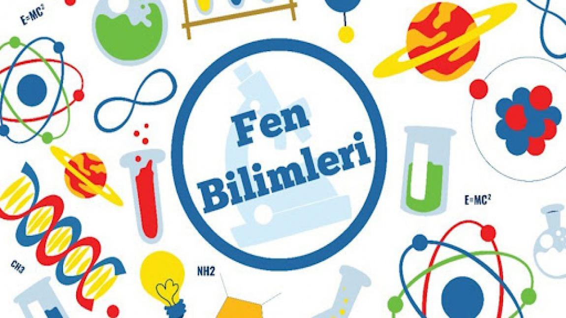 Gülnur BEKMEZCİ - Fen Bilimleri Öğretmeni